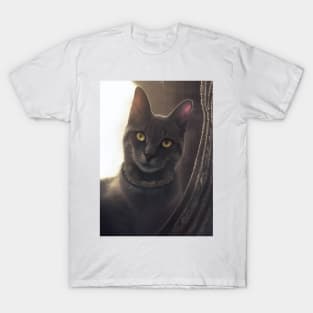 Mystic Mage Cat: Astrid T-Shirt